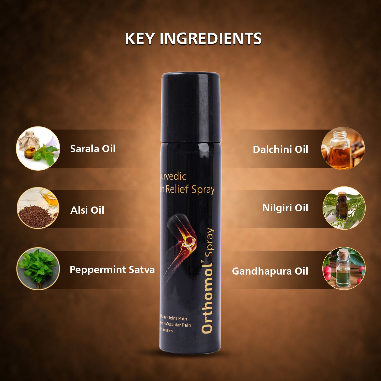 Orthomol Ayurvedic Pain Relief Spray (55 gm)