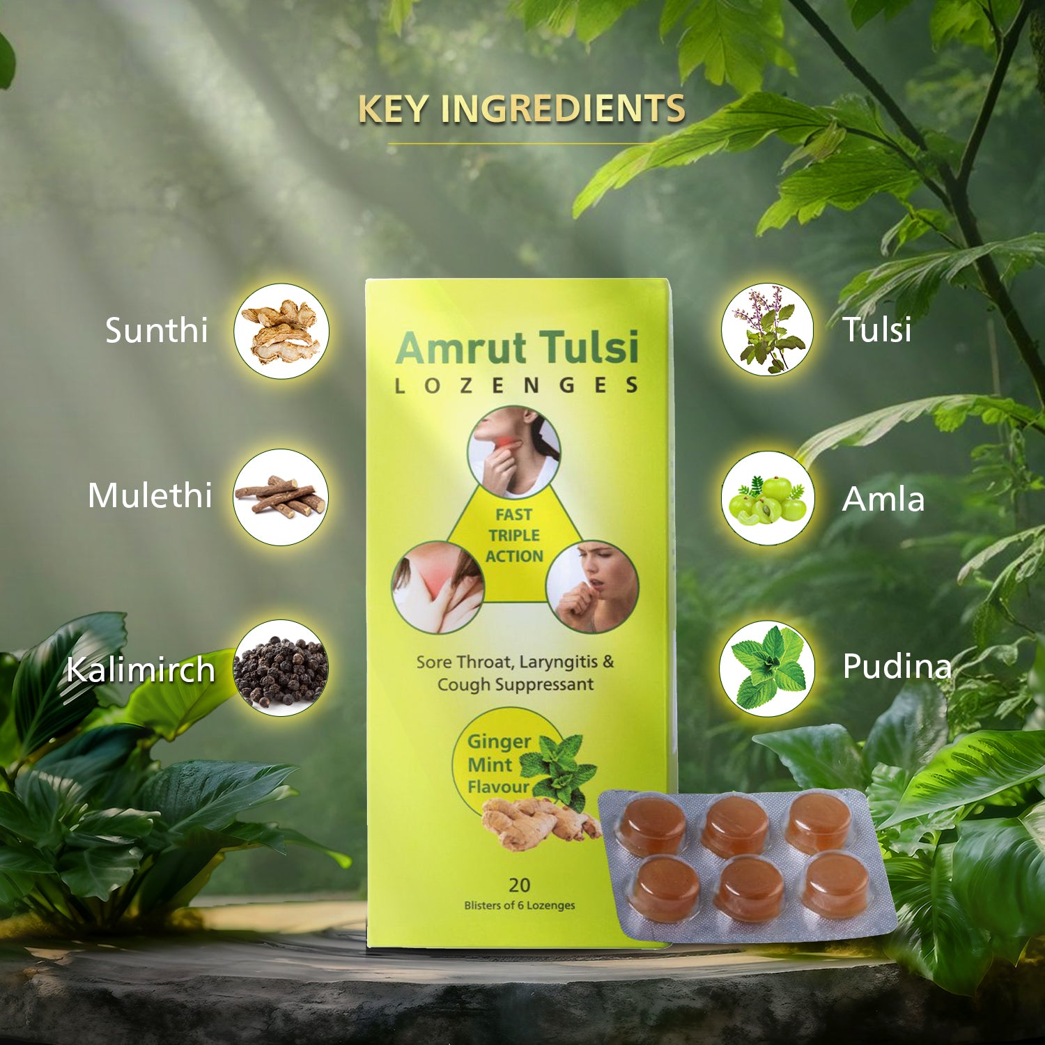 Amrut Tulsi Lozenges  (Ginger Mint Flavour)