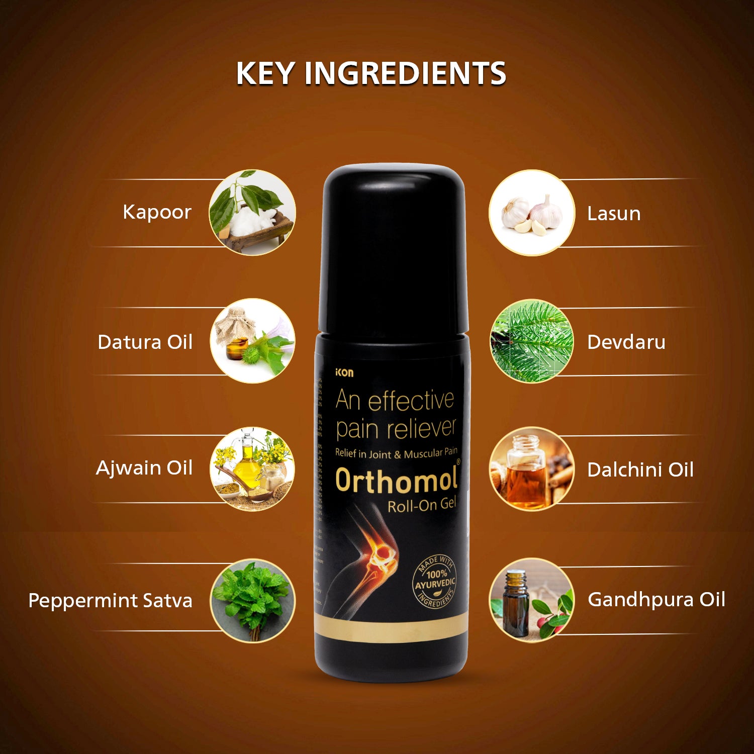 Orthomol Ayurvedic Pain Relief Roll On Gel (75 gm)