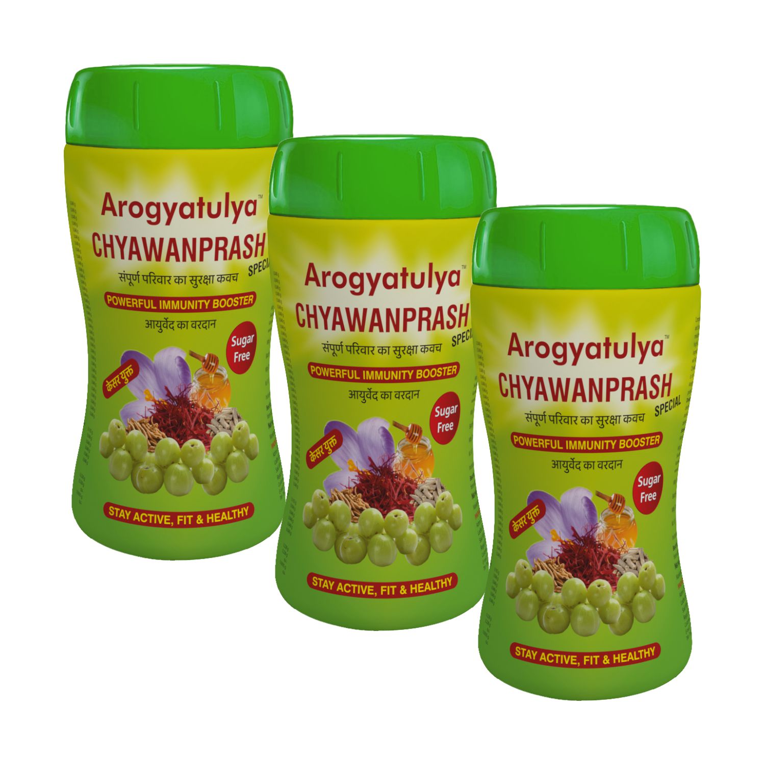 Arogyatulya Special Chyawanprash [Sugar Free] 1 Kg