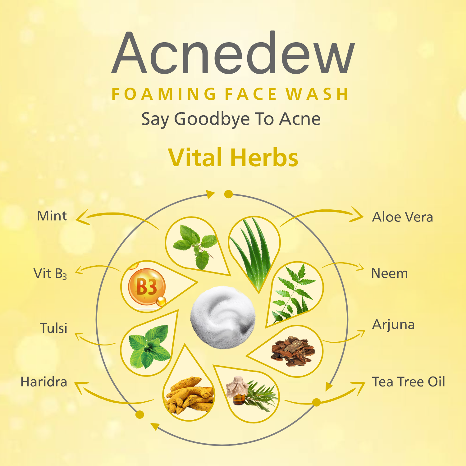 Acnedew Anti Acne & Anti Pimple Foaming Face Wash (100 ml)