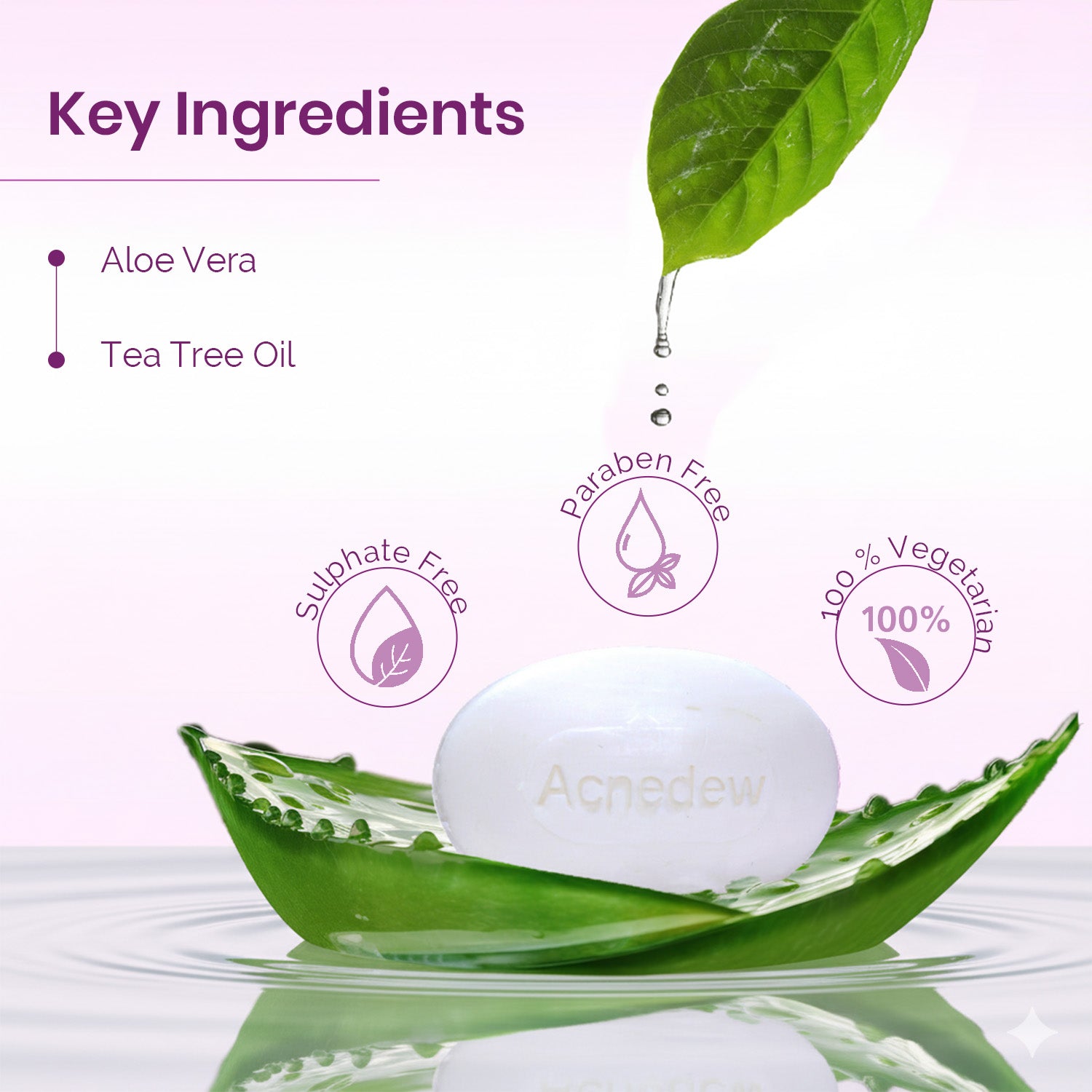 Acnedew Anti Acne & Anti Pimple Soap (75 gm)