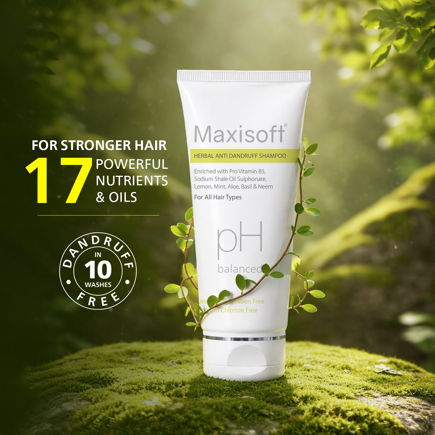 Maxisoft Herbal Anti Dandruff Shampoo (100 ml)