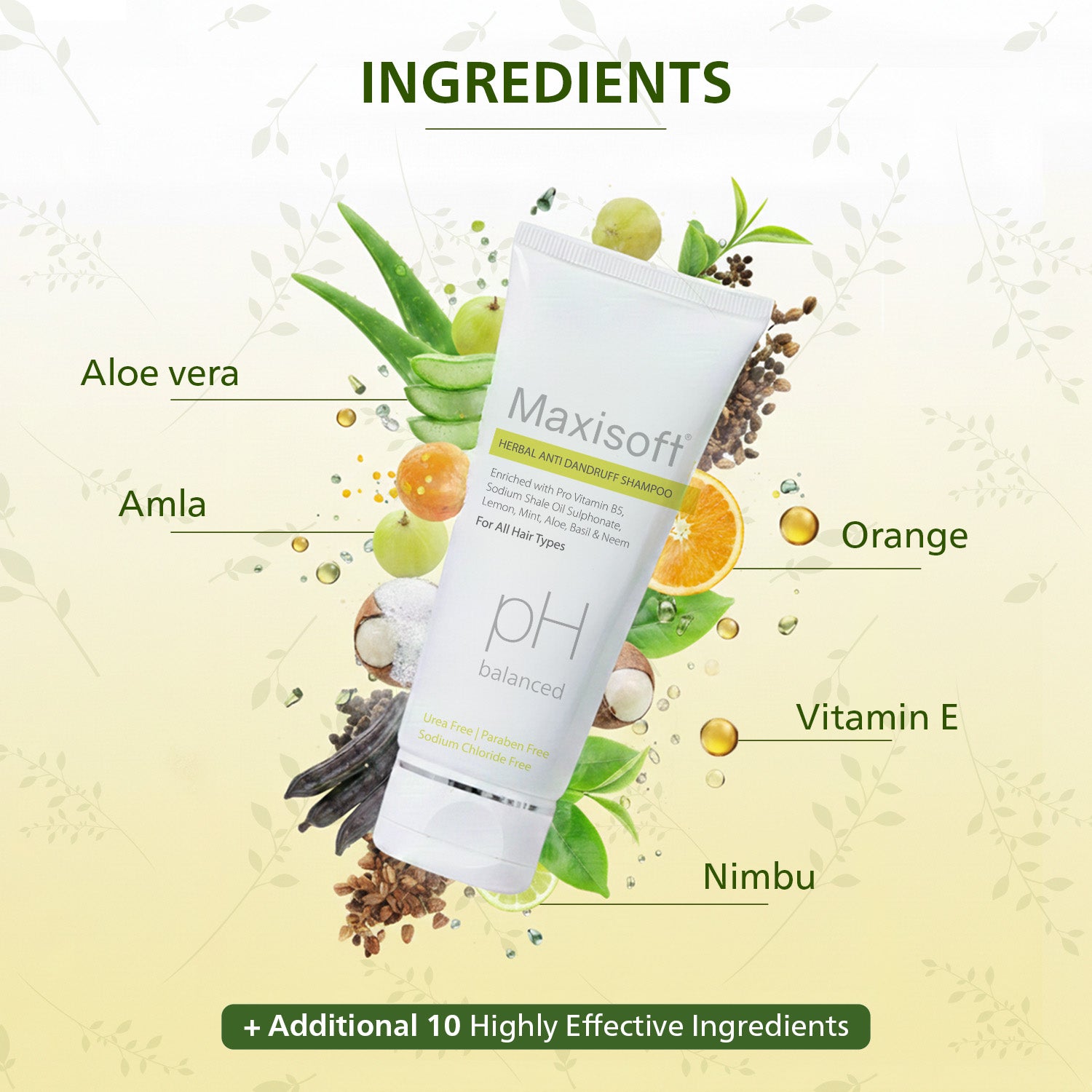 Maxisoft Herbal Anti Dandruff Shampoo (100 ml)