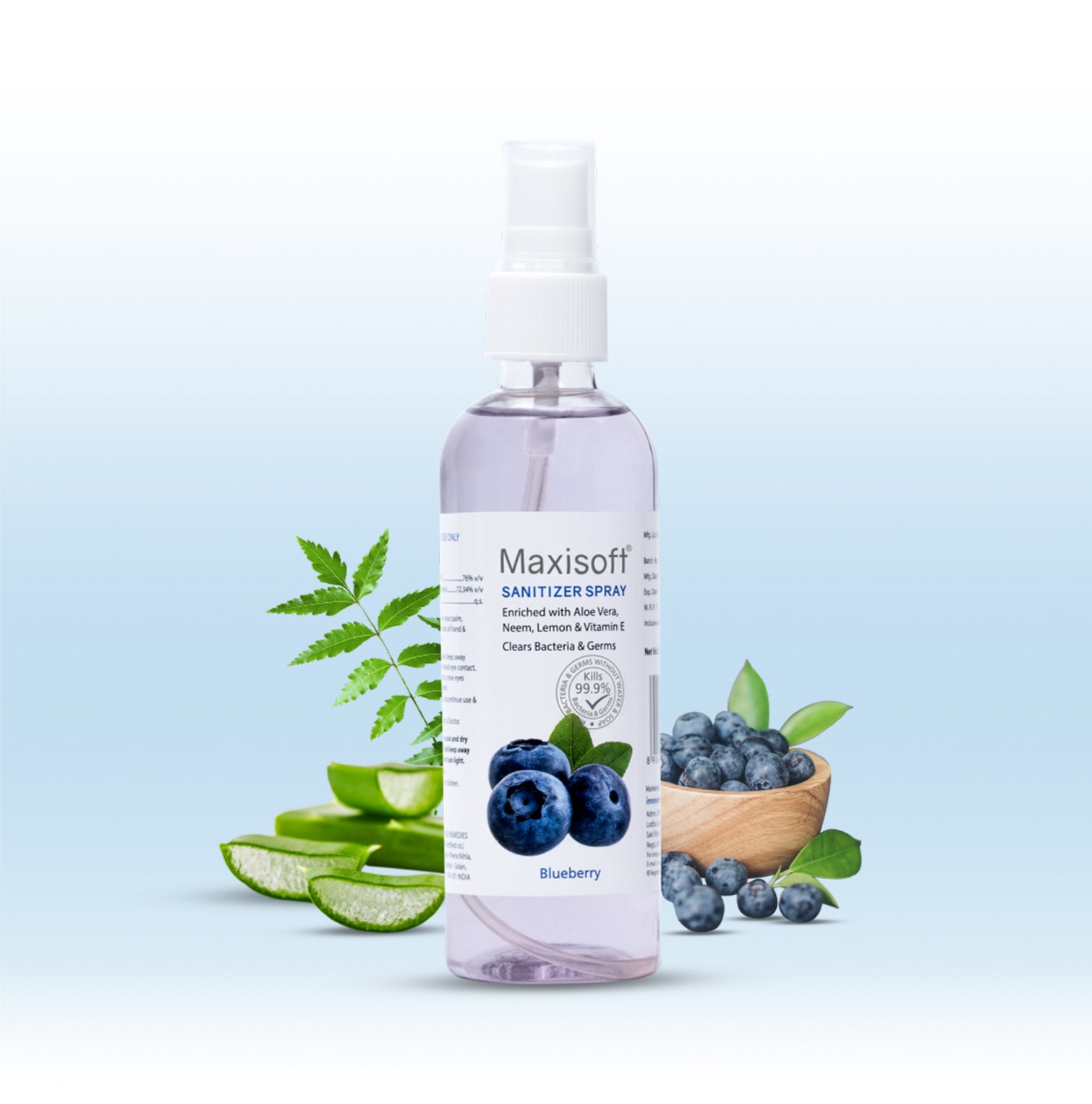 Maxisoft Hand Sanitizer Spray (Blueberry) 120 ml