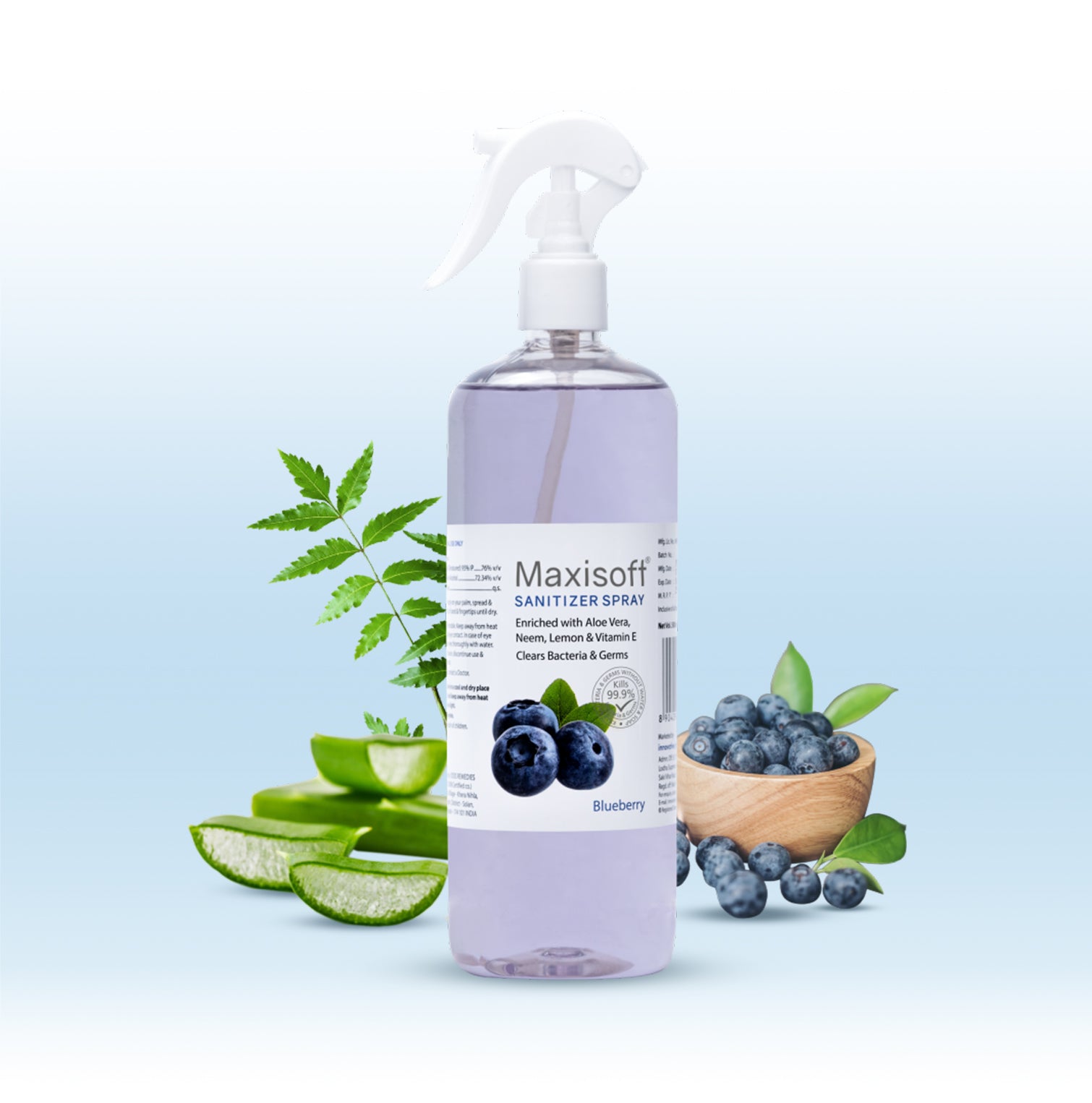 Maxisoft Hand Sanitizer Spray (Blueberry) 500 ml