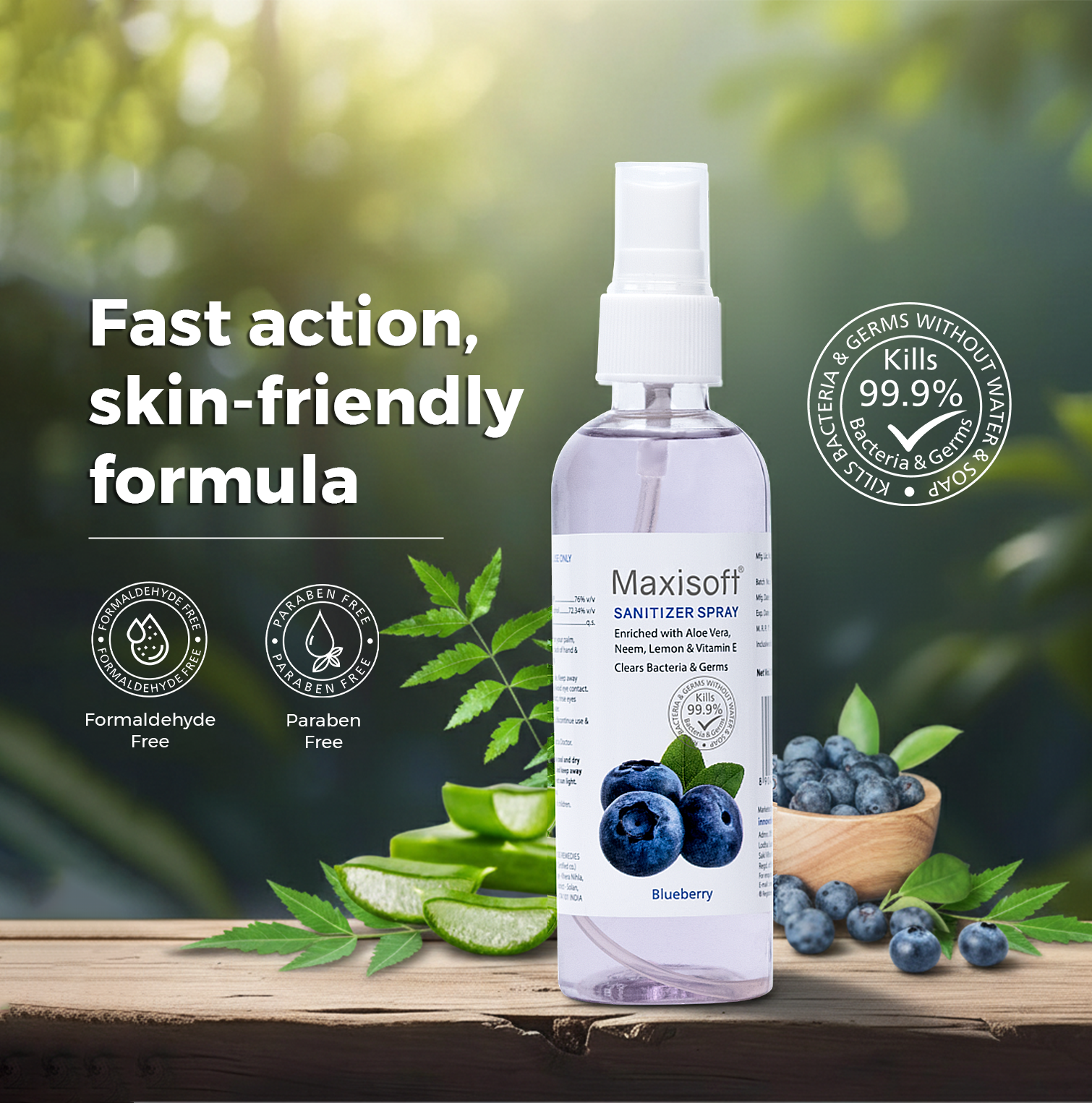 Maxisoft Hand Sanitizer Spray (Blueberry) 120 ml