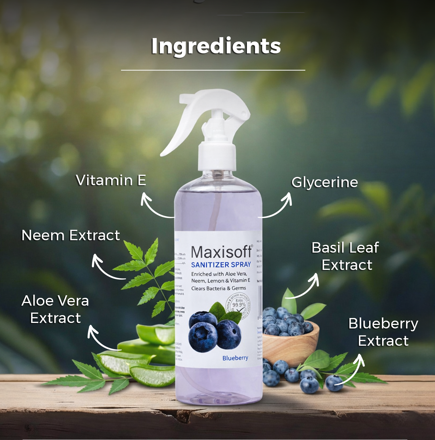 Maxisoft Hand Sanitizer Spray (Blueberry) 500 ml
