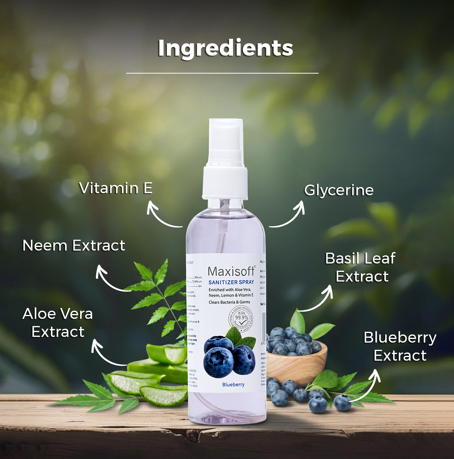 Maxisoft Hand Sanitizer Spray (Blueberry) 120 ml