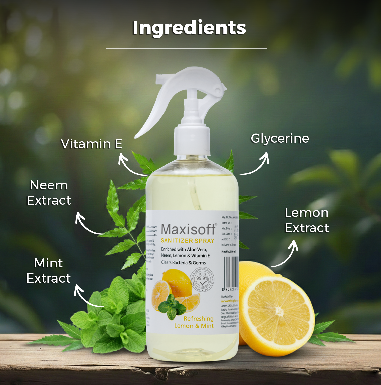 Maxisoft Hand Sanitizer Spray (Refreshing Lemon & Mint) 500 ml