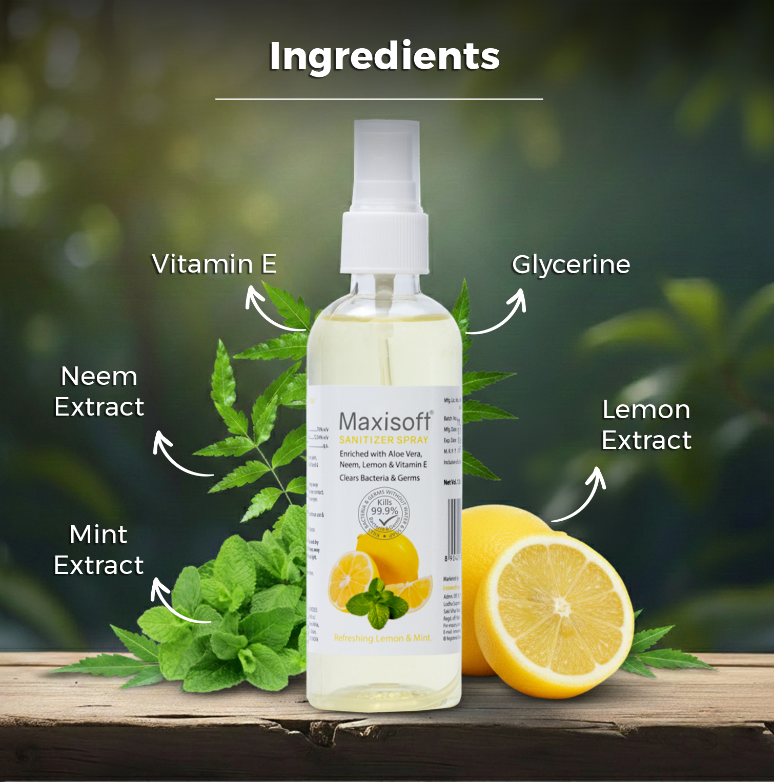 Maxisoft Hand Sanitizer Spray (Refreshing Lemon & Mint) 120 ml