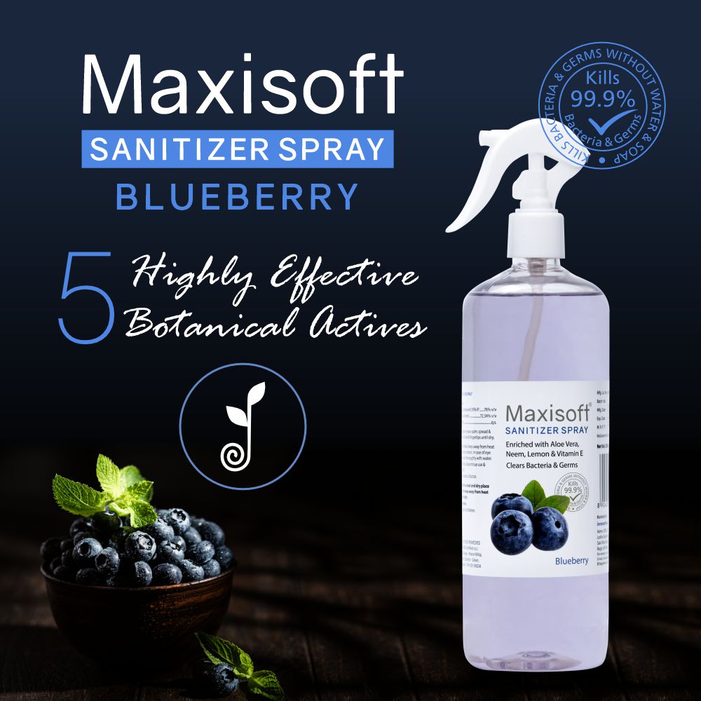 Maxisoft Hand Sanitizer Spray (Blueberry) 500 ml