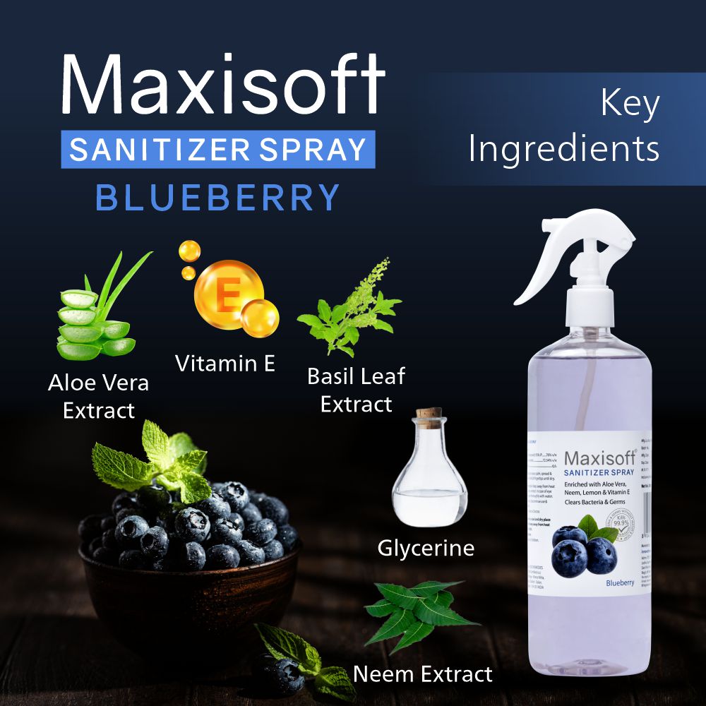 Maxisoft Hand Sanitizer Spray (Blueberry) 500 ml