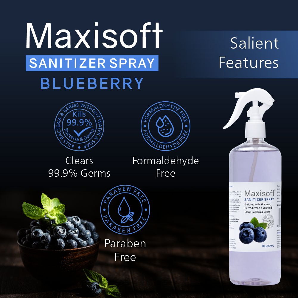 Maxisoft Hand Sanitizer Spray (Blueberry) 500 ml