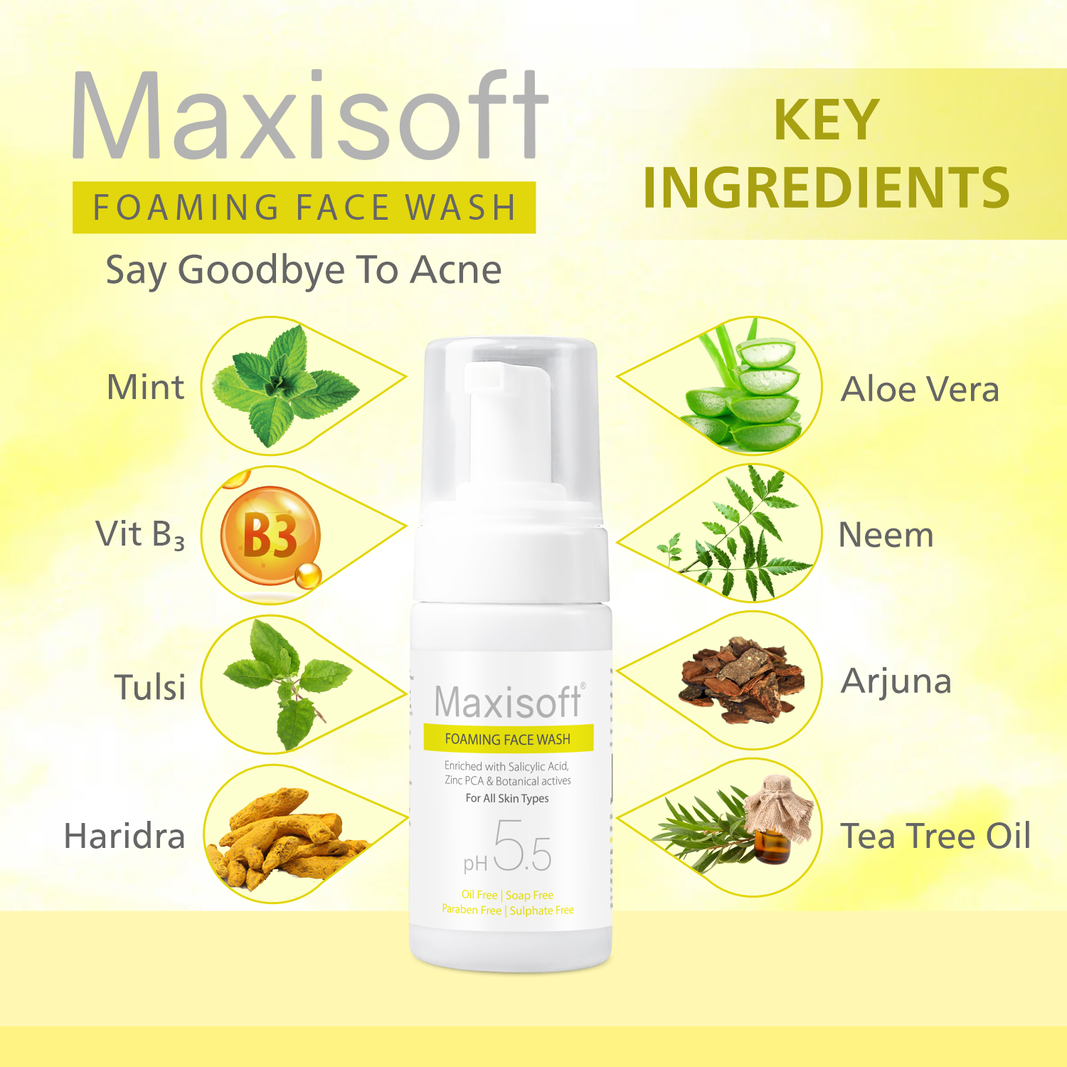 Maxisoft Anti Acne & Anti Pimple Foaming Face Wash (100 ml)