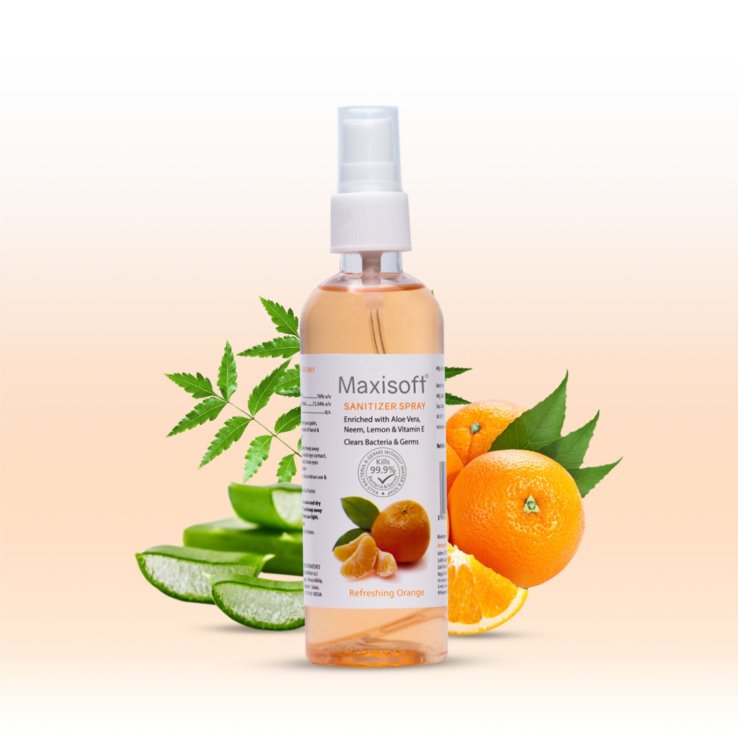Maxisoft Hand Sanitizer Spray (Refreshing Orange) 120 ml