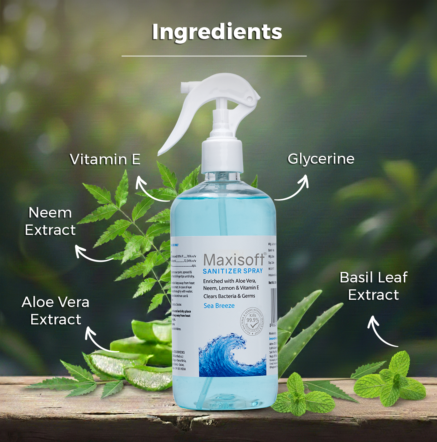 Maxisoft Hand Sanitizer Spray (Sea Breeze) 500 ml