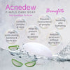 Acnedew Anti Acne & Anti Pimple Soap (75 gm)
