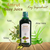 Amrut Giloy Juice (1 litre)