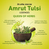 Amrut Tulsi Lozenges  (Ginger Mint Flavour)