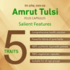 Amrut Tulsi Plus Capsules (30 Caps)
