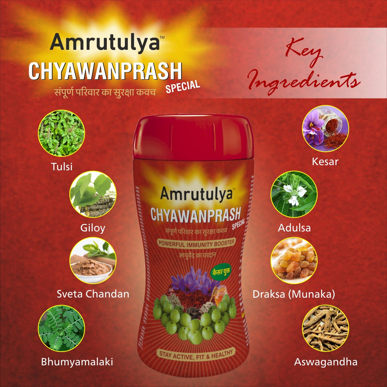 Amrutulya Special Chyawanprash (500 gm)