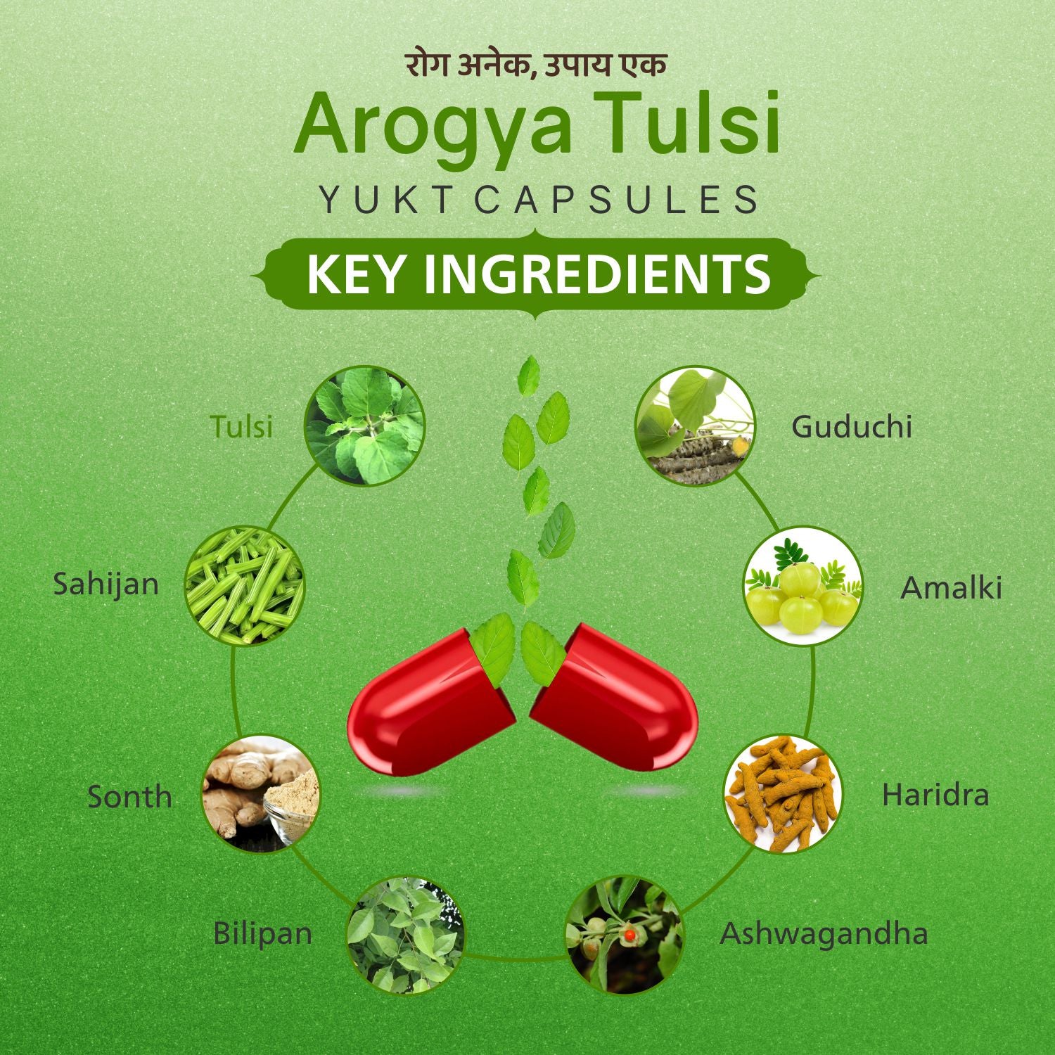 Arogya Tulsi Yukt Capsules (30 Caps)