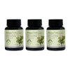 Arogya Tulsi Yukt Capsules (30 Caps)