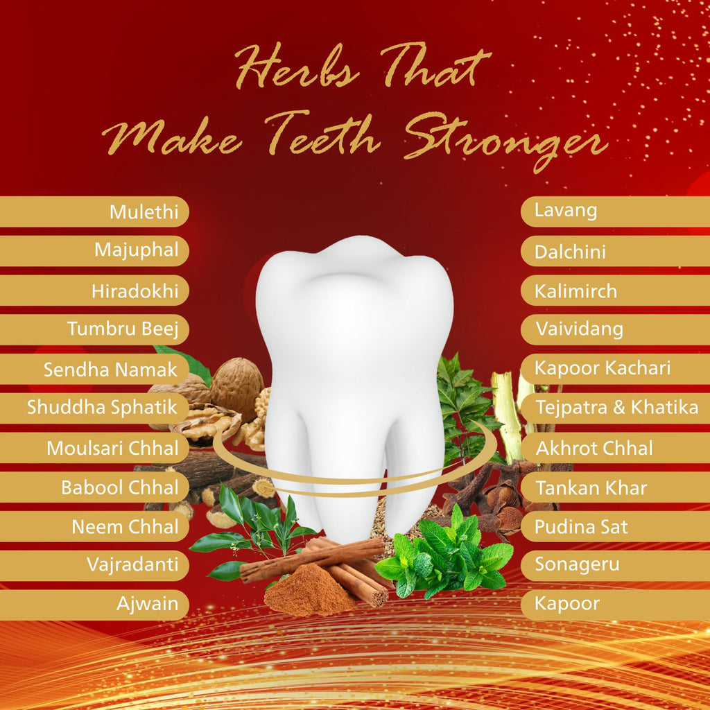 Dentomist Herbal Tooth Powder (100 gm)