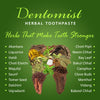 Dentomist Herbal Toothpaste (100 gm)