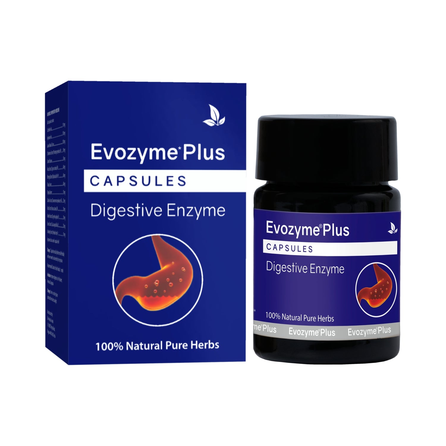 Evozyme Plus Capsules (10 Caps)