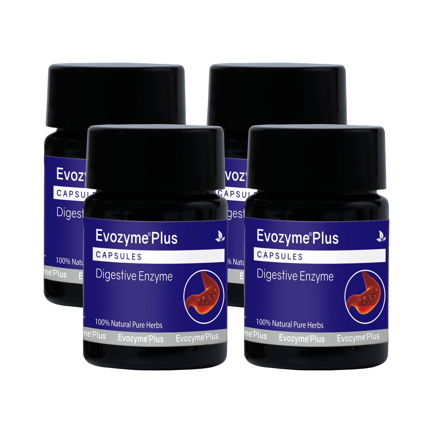 Evozyme Plus Capsules (10 Caps)