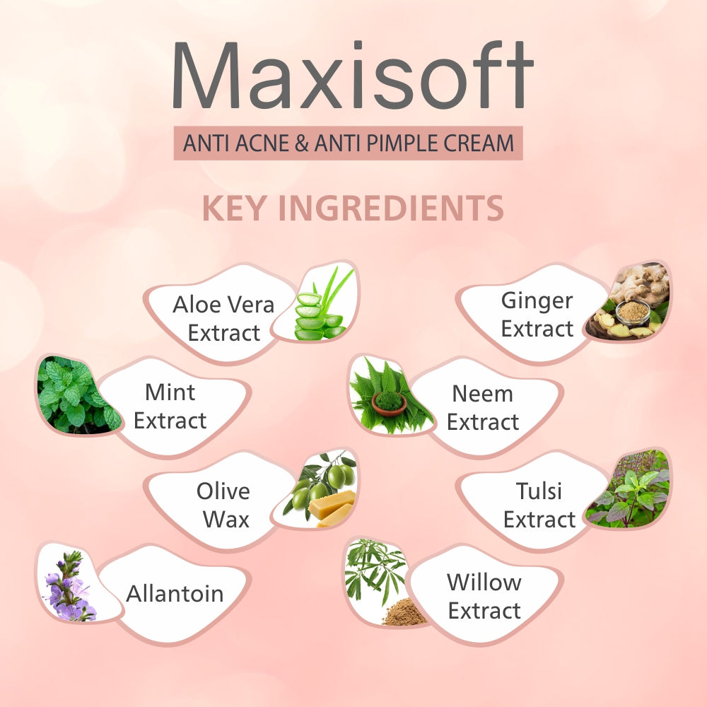 Maxisoft Anti Acne & Anti Pimple Cream (25 gm)