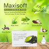 Maxisoft Fuji Green Tea Natural Handcrafted Bathing Bar (75 gm)