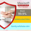 Maxisoft Hand Sanitizer Gel (Fruit Basket) 100 ml