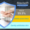 Maxisoft Hand Sanitizer Gel (Blueberry) 60 ml