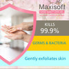 Maxisoft Hand Sanitizer Gel (Japanese Cherry Blossom) 500 ml