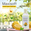 Maxisoft Hand Sanitizer Gel (Refreshing Lemon & Mint) 100 ml