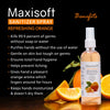 Maxisoft Hand Sanitizer Spray (Refreshing Orange) 120 ml