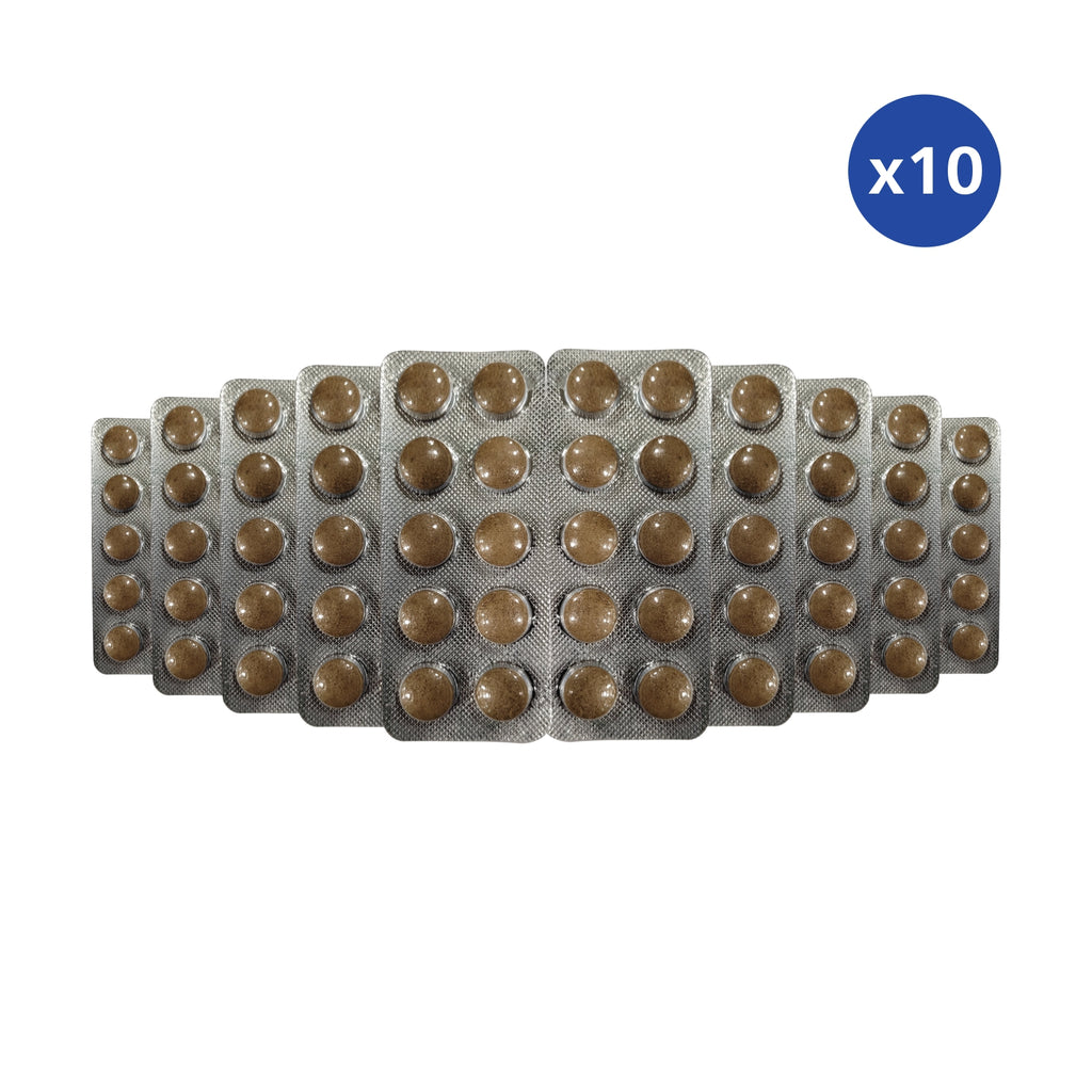 Orosoft Chewable Tablets (1 x 10 Blister)