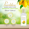 Pearldew Hand Sanitizer Gel (Refreshing Lemon & Mint) 100 ml